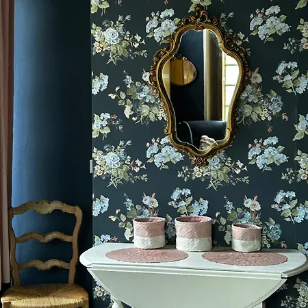 Manoir De Manapany 3* Angliers (Vienne)