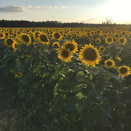 Panzió Manoir De Manapany 3*