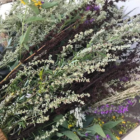 Manoir De Manapany Oda ve Kahvaltı Angliers (Vienne)