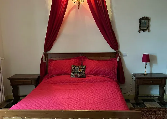 Manoir De Manapany Bed & Breakfast Angliers (Vienne)