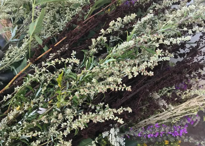 Manoir De Manapany Bed & Breakfast Angliers (Vienne)