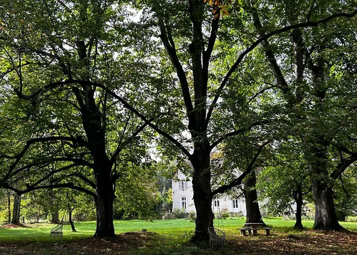 Manoir De Manapany Bed & Breakfast Angliers (Vienne)